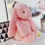 Thỏ Annie 38cm Thêu Tên Bé Cực Đáng Yêu - TB002